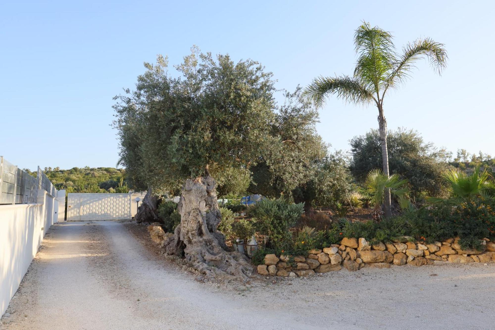 فندق Relais Dea Degli Ulivi أغريجنتو المظهر الخارجي الصورة