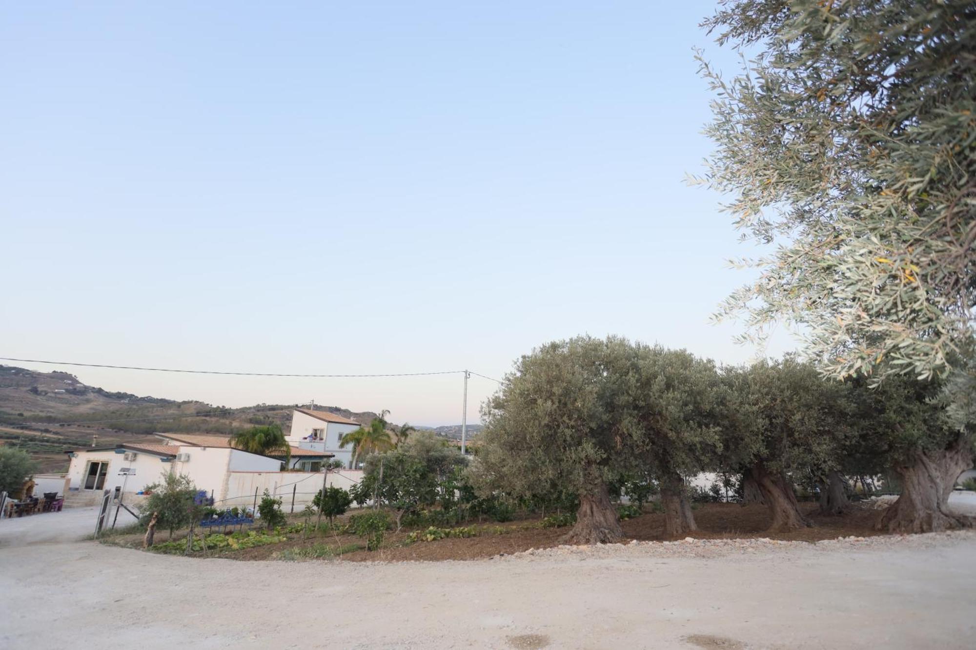 فندق Relais Dea Degli Ulivi أغريجنتو المظهر الخارجي الصورة